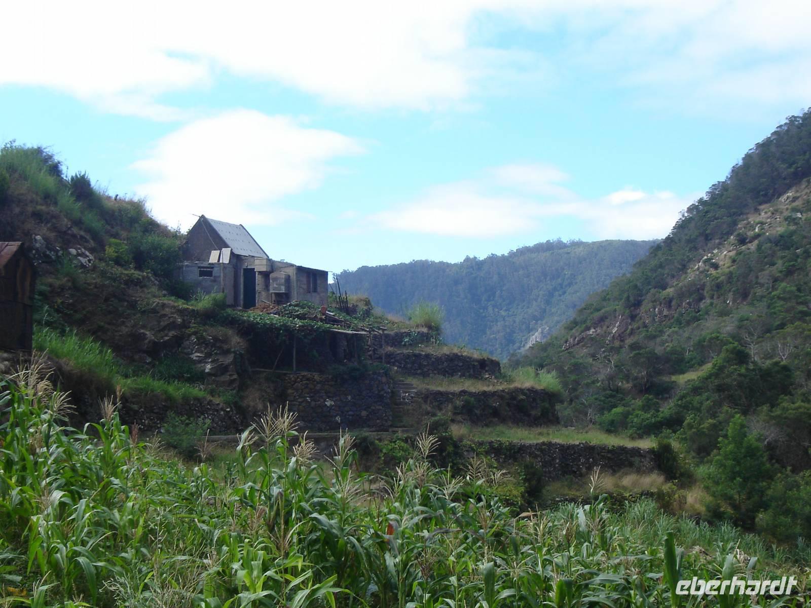 099 Levada-Wanderung
