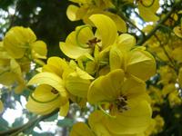 132 Impressionen - Kassie