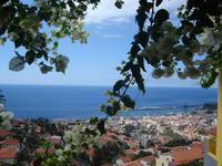 159 Orchideen-Garten