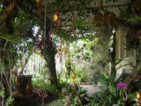 163 Orchideen-Garten