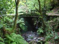 Levada-Wanderung zum Aussichtspunkt Balcoes