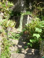 auf der Levada-Wanderung von Marocos - Treppenaufgang