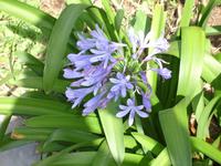 auf der Levada-Wanderung von Marocos - 