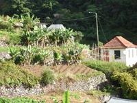 auf der Levada-Wanderung von Marocos