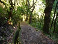 Levada-Wanderung zum Aussichtspunkt Balcoes