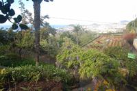 Im botanischen Garten Funchal