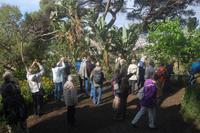 Im botanischen Garten Funchal