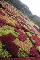 Im botanischen Garten Funchal