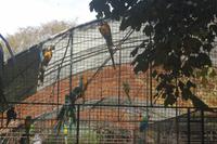 Im botanischen Garten Funchal