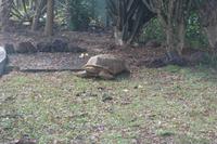 Im botanischen Garten Funchal