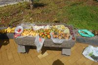 unser Fruchtpicknick auf der höchsten Klippe Europas