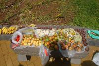 unser Fruchtpicknick auf der höchsten Klippe Europas