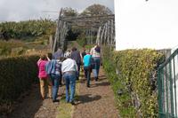 Weinprobe in den Bergen Madeiras