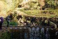 Wanderung entlang der Levada von Marocos