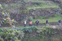 Wanderung entlang der Levada von Marocos