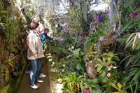 Pregetter’s Orchideengarten Funchal