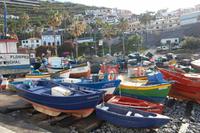 in der Bucht der Seelöwen - Câmera de Lobos