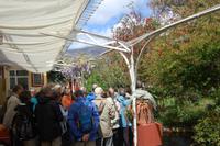 in Esmeralda´s Kräutergarten