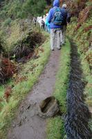 Vorsicht - Tretminen an der Levada 