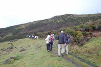 Levada-Wanderung durch die Hochebene „Paúl da Serra“