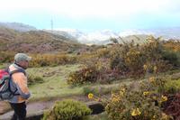 Levada-Wanderung durch die Hochebene „Paúl da Serra“
