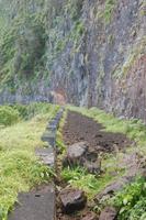 die alte Uferstraße an der Nordküste Madeiras