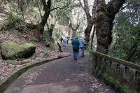Levada-Wanderung Ribeiro Frio