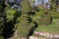 in Blandys Garden (Quinta do Palheiro)