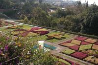 Jardim Bontanico (Funchal)