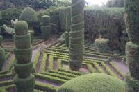 Jardim Bontanico (Funchal)
