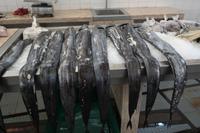 ...der schwarze Degenfisch