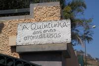 Esmeraldas Kräutergarten