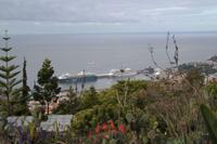 TUI-Mein Schiff und AIDA-Blue im Hafen (Funchal)