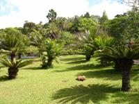 Botanischer Garten in Funchal