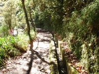 Levada-Wanderung zum Aussichtspunkt 