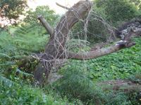  auf der Levada-Wanderung 