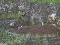 Levada-Wanderung - Bauer bei der Arbeit