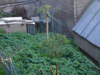 Levada-Wanderung - Gemüse- und Obstanbau