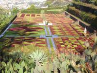 Botanischer Garten in Funchal
