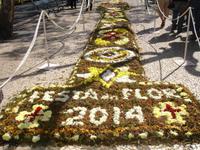 Funchal - Blumenfest auf der Avenida Arriaga