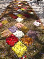 Funchal - Blumenfest auf der Avenida Arriaga