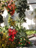 Funchal - Blumenfest auf der Avenida Arriaga