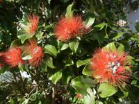 Der erste Tagesausflug