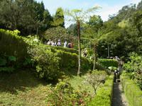 Ausflug nach Ribeiro Frio