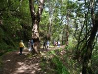 Wandern auf Madeira