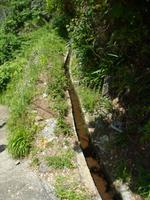 Die Levadas von Madeira