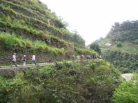 Fakultative Levadawanderung