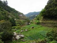 Terrassenlandschaft entlang der Levadas