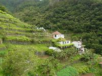 Terrassenlandschaft entlang der Levadas