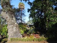 Ausflug zum Jardim Botanico